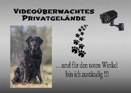 ... und für den toten Winkel bin ich zuständig!!! Hunde Schild smart kreativ schilder selbst gestalten