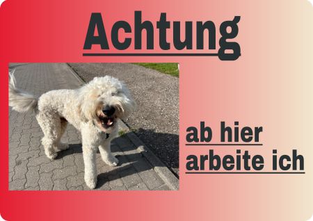 Ab hier arbeite ich Hunde Schild smart kreativ spritzig informativ auffallend schilder selbst gestalten