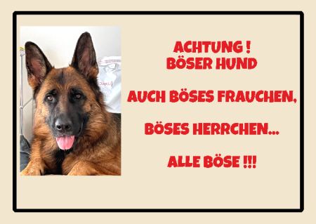 Achtung! Böser Hund Hunde Schild kreativ spritzig schilder selbst gestalten