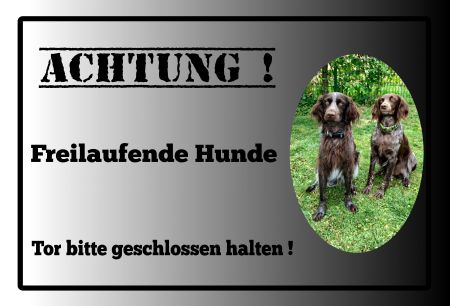 Achtung! Freilaufende Hunde Hunde Schild kreativ informativ auffallend schilder selbst gestalten