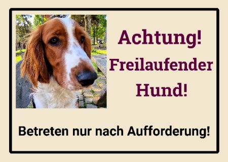 Achtung! Freilaufender Hund! Hunde Schild spannend bunt kreativ schilder selbst gestalten