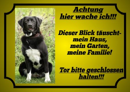 Achtung hier wache ich!!! Hunde Schild smart kreativ spritzig schilder selbst gestalten
