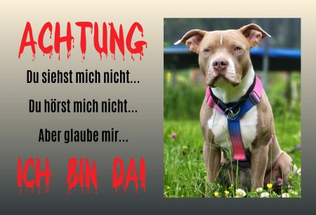 ACHTUNG - ICH BIN DA Hunde Schild kreativ spritzig informativ auffallend schilder selbst gestalten