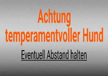 Achtung temperamentvoller Hund Hunde Schild smart kreativ schilder selbst gestalten