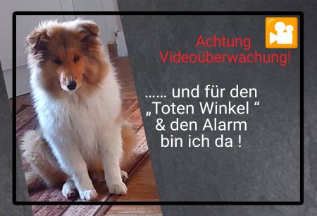 ACHTUNG Videoüberwachung Hinweis Schild kreativ spritzig informativ auffallend schilder selbst gestalten