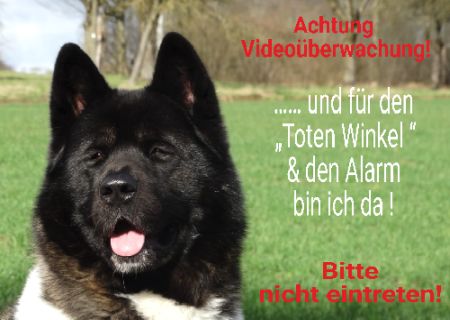Achtung Video&uuml;berwachung Hunde Schild kreativ informativ auffallend nachdr&uuml;cklich schilder selbst gestalten