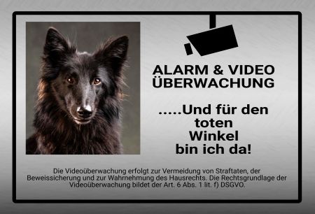 ALARM & VIDEO ÜBERWACHUNG Hunde Schild kreativ informativ auffallend nachdrücklich schilder selbst gestalten