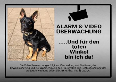 Alarm & Video&uuml;berwachung Hinweis Schild smart bunt kreativ schilder selbst gestalten