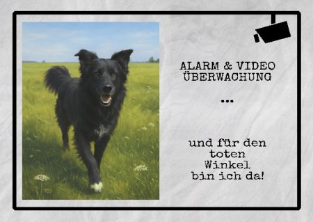 Alarm & Videoüberwachung Hunde Schild bunt schilder selbst gestalten