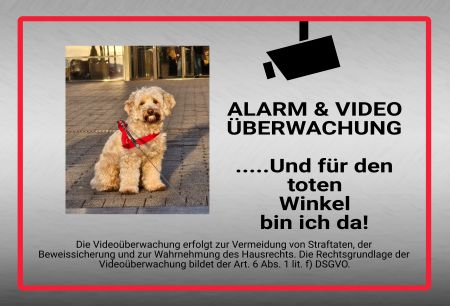 ALARM & VIEDEO ÜBERWACHUNG Hinweis Schild kreativ spritzig informativ auffallend nachdrücklich schilder selbst gestalten