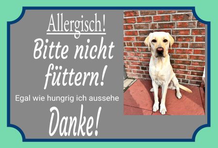 Allergisch! Bitte nicht f&uuml;ttern! Hunde Schild smart kreativ spritzig schilder selbst gestalten