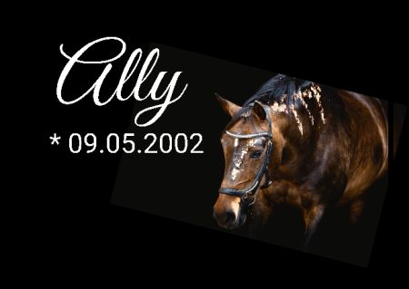 Ally Hunde Schild smart schilder selbst gestalten