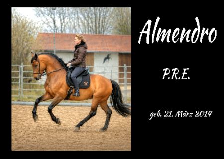 Almendro Pferde Schild spannend kreativ informativ auffallend schilder selbst gestalten