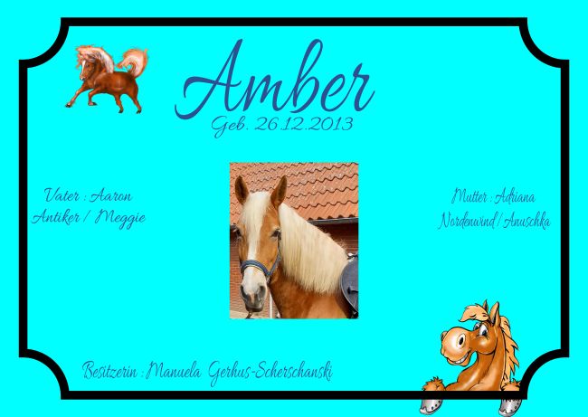 Amber Pferde Schild smart spannend bunt kreativ spritzig informativ auffallend schilder selbst gestalten