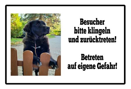 Auf eigene Gefahr! Hunde Schild smart kreativ spritzig schilder selbst gestalten