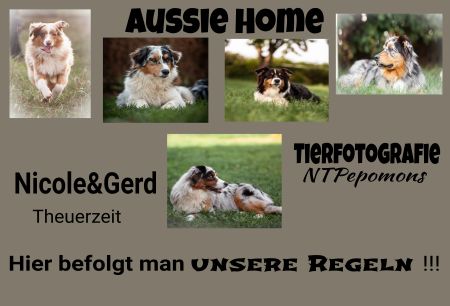 AUSSIE HOME Hunde Schild smart bunt spritzig auffallend schilder selbst gestalten