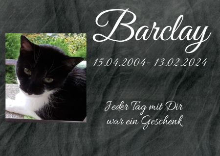 Barclay Katzen Schild smart informativ auffallend schilder selbst gestalten