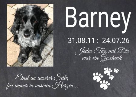 Barney Gedenktafel Schild kreativ informativ auffallend schilder selbst gestalten