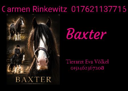 Baxter Pferde Schild spannend kreativ informativ auffallend schilder selbst gestalten