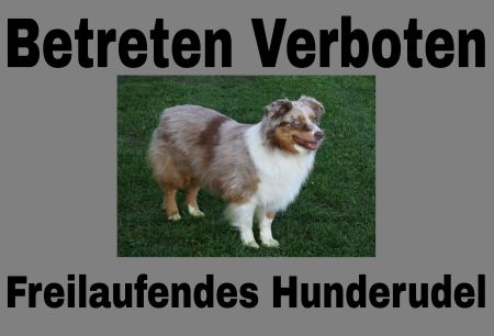 Betreten Verboten Hunde Schild smart kreativ auffallend schilder selbst gestalten