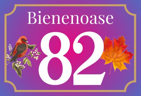 Bienenoase 82 Privat-Pakete Schild spannend bunt kreativ spritzig schilder selbst gestalten