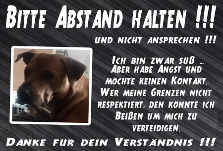 Bitte Abstand halten!!! Hunde Schild informativ auffallend nachdrücklich schilder selbst gestalten