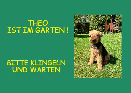 Bitte klingeln und warten Hunde Schild informativ auffallend schilder selbst gestalten
