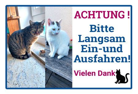 Bitte langsam fahren! Tiere Schild bunt kreativ informativ auffallend schilder selbst gestalten