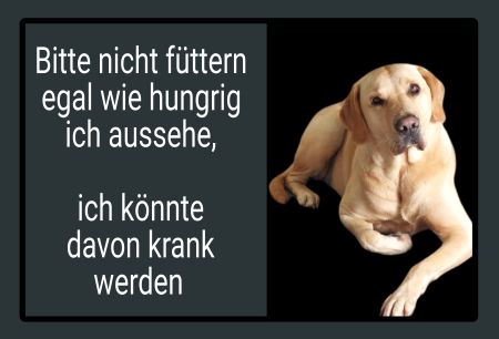 Bitte nicht f&uuml;ttern! Hunde Schild informativ auffallend nachdr&uuml;cklich schilder selbst gestalten