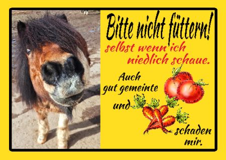 Bitte nicht füttern! Tiere Schild bunt kreativ spritzig informativ auffallend schilder selbst gestalten