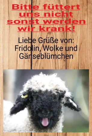 Bitte nicht füttern! Tiere Schild kreativ auffallend nachdrücklich schilder selbst gestalten