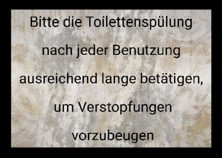 Bitte Toilettenspülung benutzen! Hinweis Schild kreativ informativ auffallend nachdrücklich schilder selbst gestalten