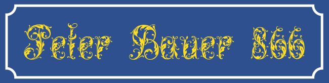 Blaues Straßennamenschild Strassen-Hausnummern Schild smart kreativ spritzig auffallend schilder selbst gestalten