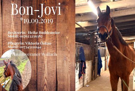 Bon-Jovi Pferde Schild smart kreativ spritzig schilder selbst gestalten