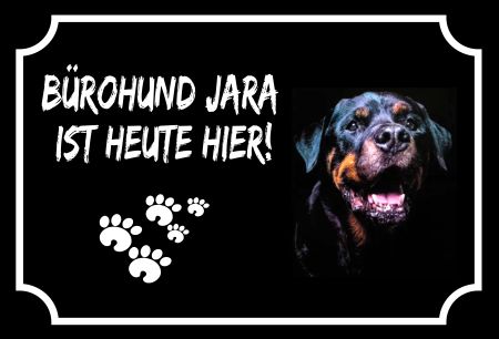Bürhohund Jara Hunde Schild spannend informativ auffallend schilder selbst gestalten