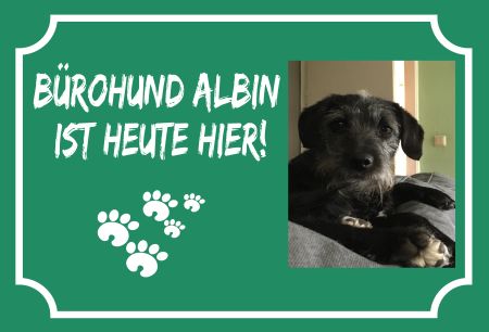 Bürohund Albin Hunde Schild smart bunt kreativ spritzig schilder selbst gestalten