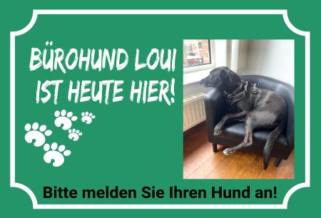 B&uuml;rohund Loui ist heute hier! Hunde Schild smart bunt kreativ schilder selbst gestalten