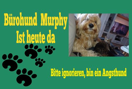 Bürohund Murphy Hunde Schild smart informativ lustig schilder selbst gestalten