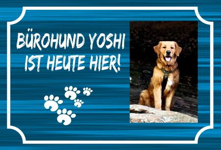B&uuml;rohund Yoshi ist heute hier! Hunde Schild bunt spritzig informativ auffallend schilder selbst gestalten