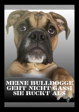 Bulldogge rückt aus Hunde Schild informativ auffallend nachdrücklich schilder selbst gestalten