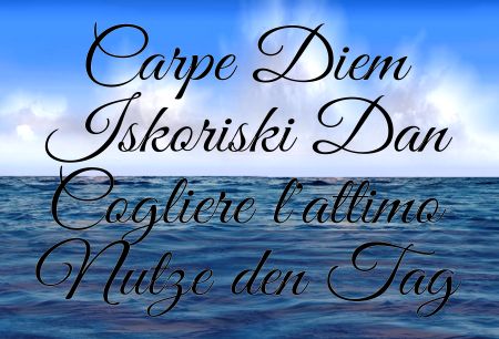 Carpe Diem Sprüche Schild smart bunt kreativ spritzig schilder selbst gestalten