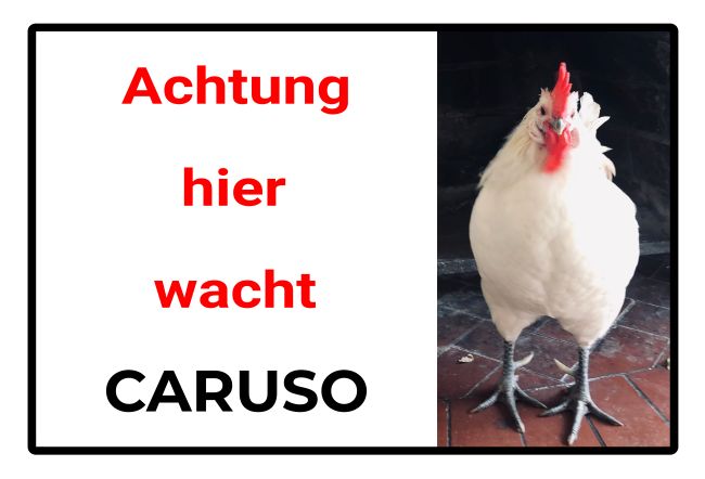 Caruso Tiere Schild smart kreativ auffallend lustig schilder selbst gestalten