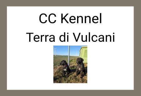 CC Kennel Hunde Schild informativ auffallend schilder selbst gestalten