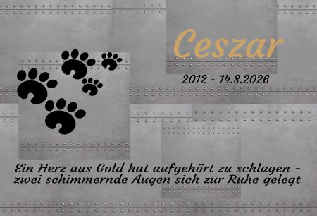 Ceszar Gedenktafel Schild nachdr&uuml;cklich schilder selbst gestalten