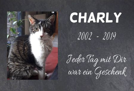 Charly Katzen Schild smart informativ nachdrücklich schilder selbst gestalten