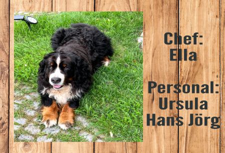 Chef: Ella Hunde Schild smart kreativ spritzig auffallend schilder selbst gestalten