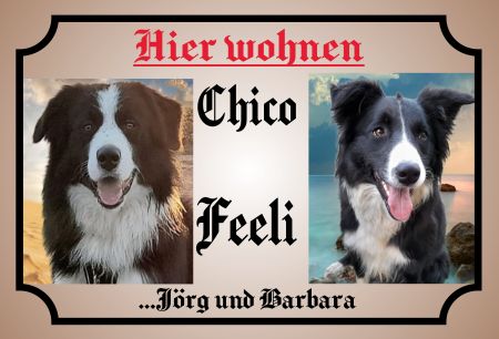 Chico & Feeli Hunde Schild smart spannend informativ auffallend schilder selbst gestalten