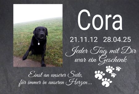 Cora Gedenktafel Schild smart auffallend nachdrücklich schilder selbst gestalten