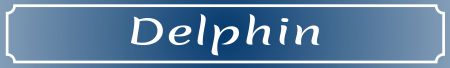 Delphin Hinweis Schild kreativ informativ auffallend schilder selbst gestalten