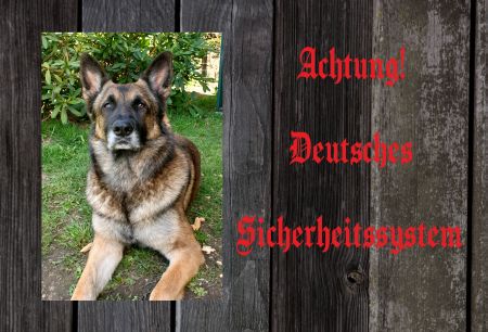 Deutsches Sicherheitssystem Hunde Schild informativ auffallend lustig schilder selbst gestalten